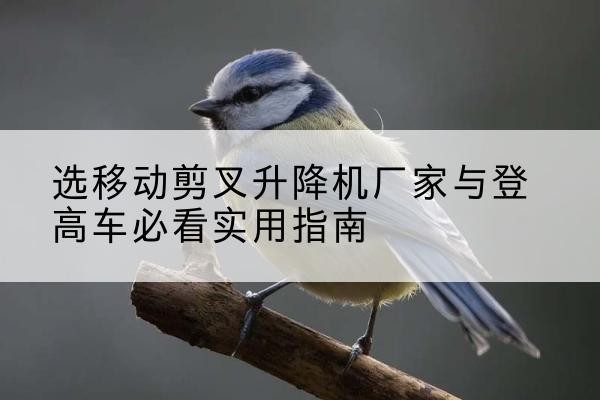 都江堰电动升降机厂家-选移动剪叉升降机厂家与登高车必看实用指南