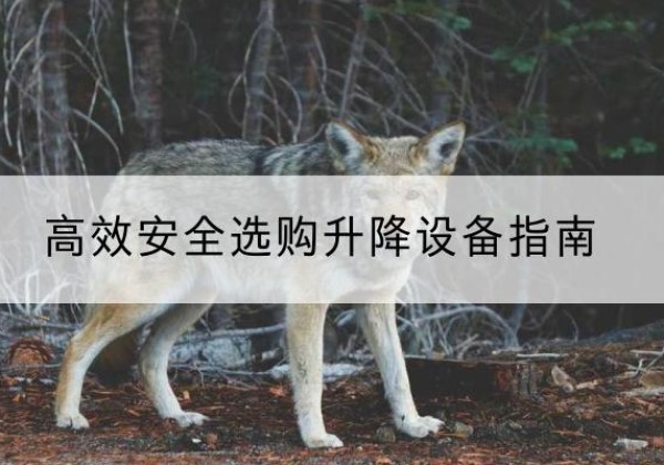 都江堰升降货梯厂家推荐-*安全选购升降设备指南