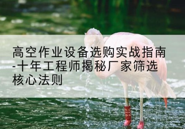 都江堰剪叉式升降机厂家-高空作业设备选购实战指南-十年工程师揭秘厂家筛选核心法则